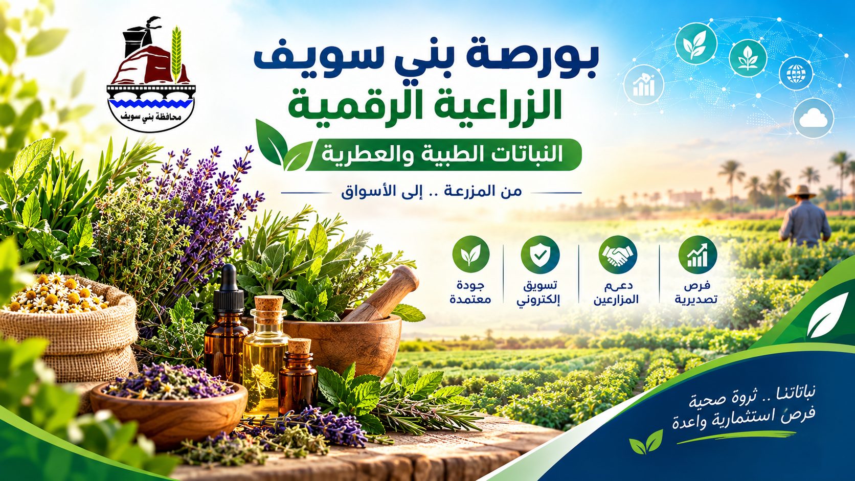 النباتات الطبية والعطرية — بورصة بني سويف الزراعية الرقمية